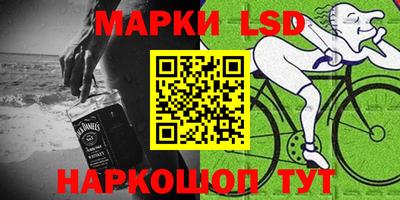 индика Гагарин