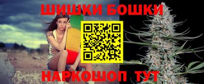 индика Гагарин