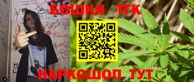 индика Гагарин