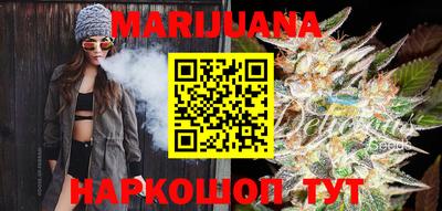 тгк Гай