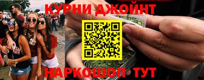 тгк Гай